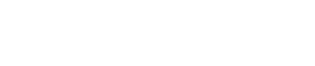 Công ty Cổ phần Light Metal Việt Nam